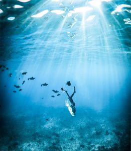 Our Equalisation Tips for Freediving and Spearfishing