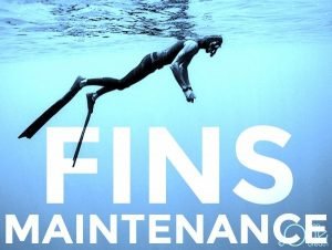 Gear Care and Maintenance - Diversworld Spearfishing Diving Cairns Australia