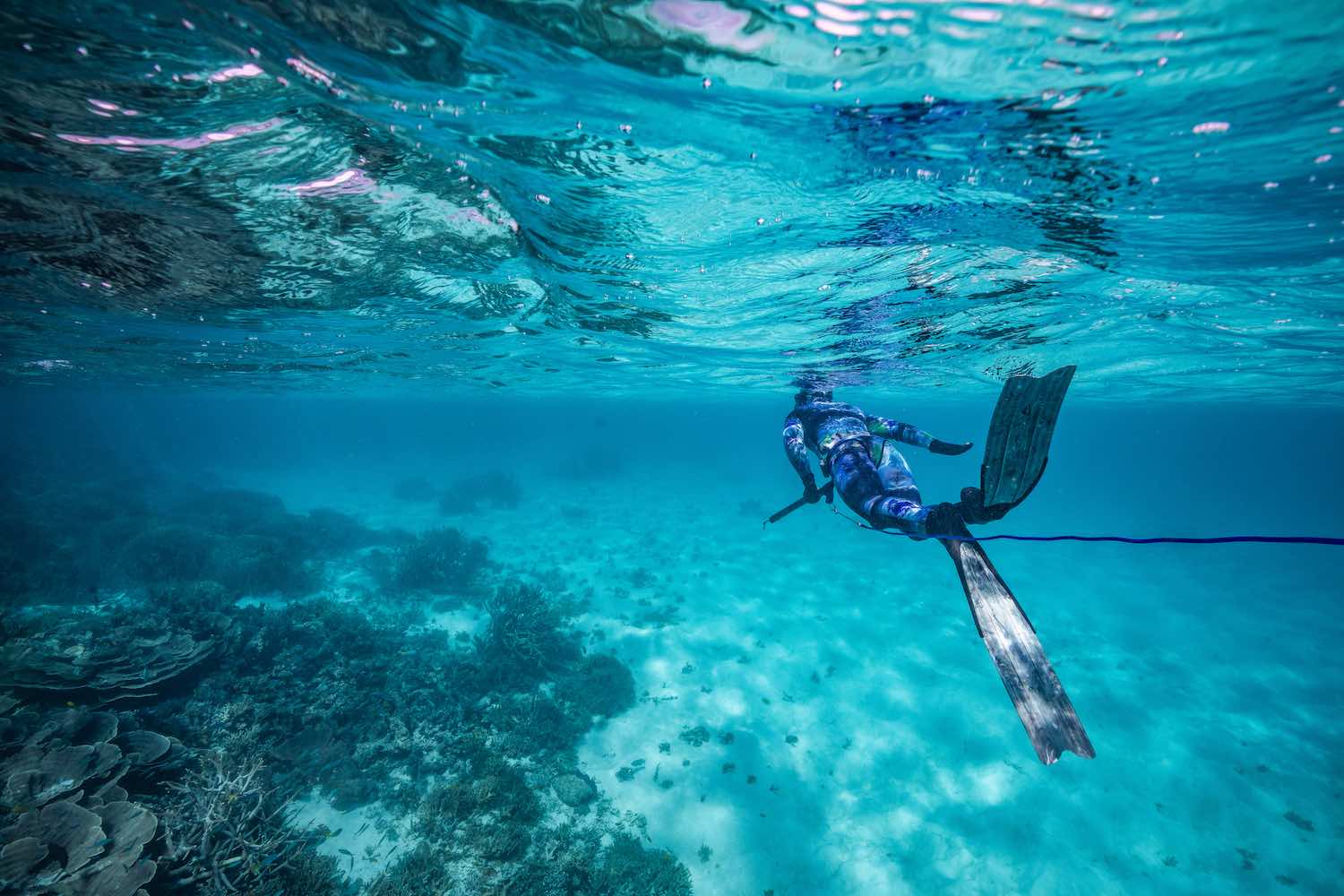 How-to-choose-your-set-of-spearfishing-fins-Diversworld