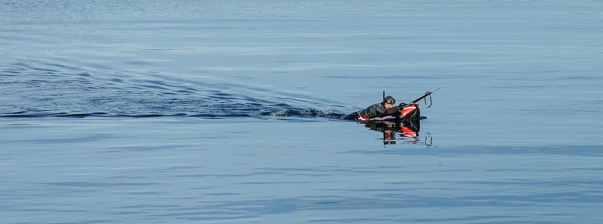 Spearfishing Safety 101 - Better Freediving - Diversworld Spearfishing Scuba Diving Snorkelling Cairns Australia