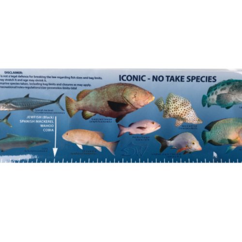 QLD Fish ID Ruler Sticker