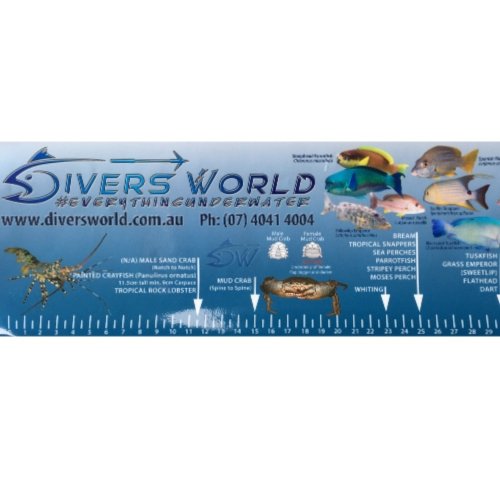 QLD Fish ID Ruler Sticker Boat Fishing Rules - Spearfishing Snorkeling Freediving Commercial Scuba Diving Gear Australia Cairns Diversworld