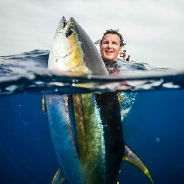 Spearfishing Liveaboard-Charter Trip Waiver Diversworld Cairns Australia with Reel Deep Charters Bluewater