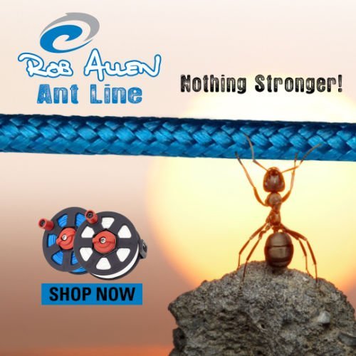 Rob Allen Ant Line - Diversworld Spearfishing Freediving Scuba Diving Gear Australia Cairns