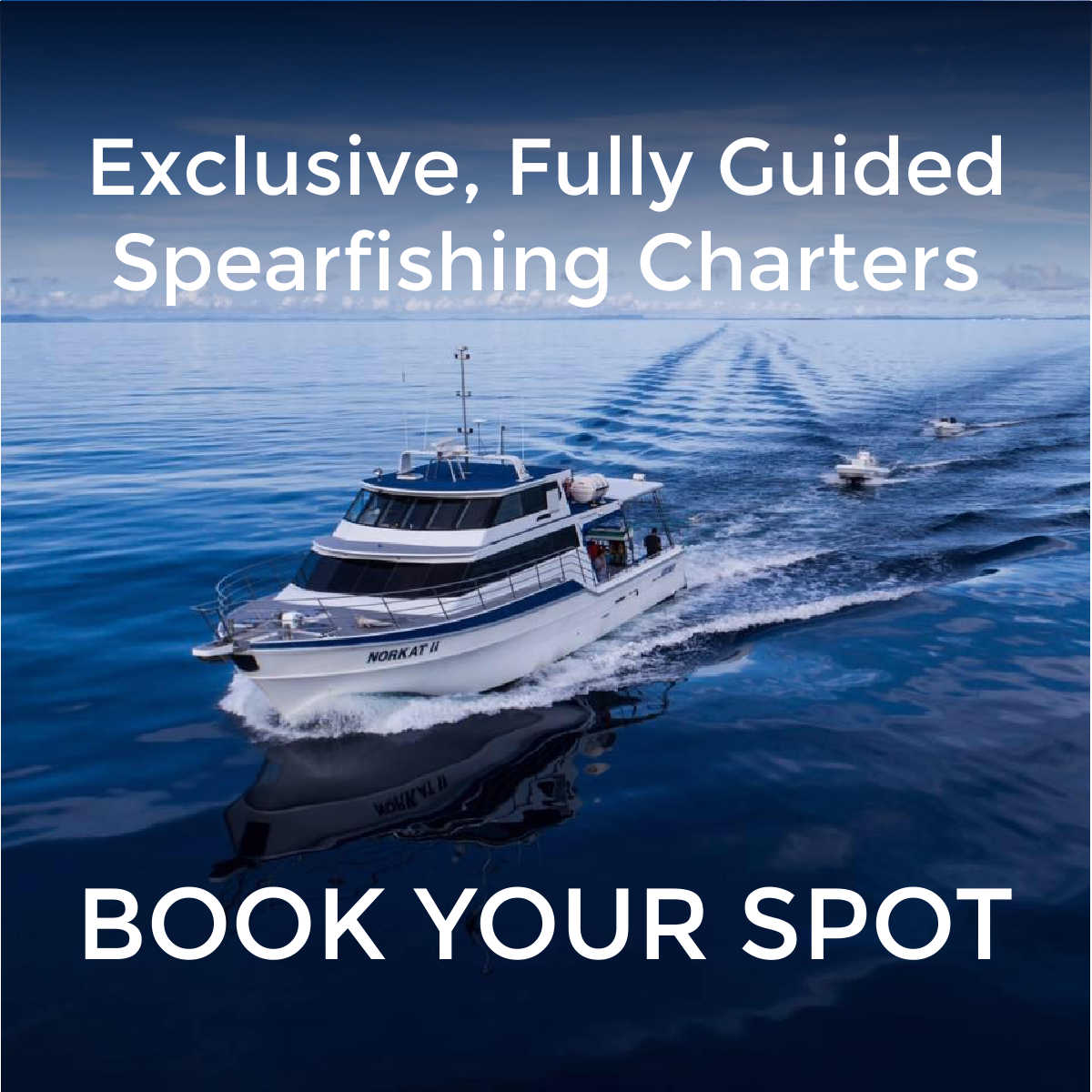 Spearfishing Charter Diversworld