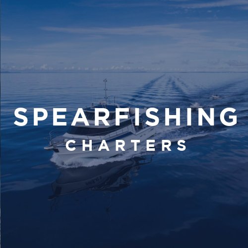 Spearfishing Charters - Coral Sea - Reeldeep Charters - Diversworld Online Shop Cairns Australia