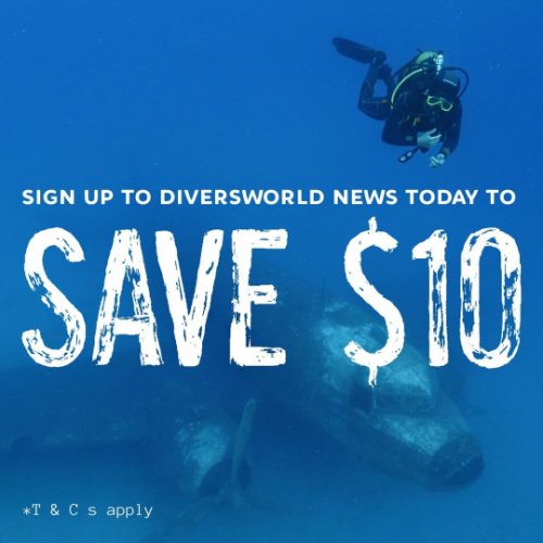 Newsletter- Scuba Diving -Diversworld-Cairns-Australia