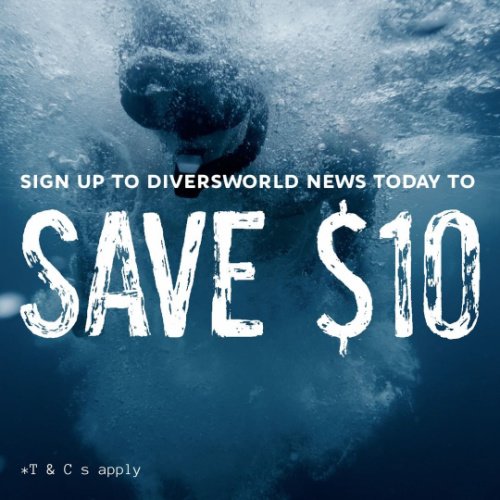 Newsletter- Spearfishing-Diversworld-Cairns-Australia