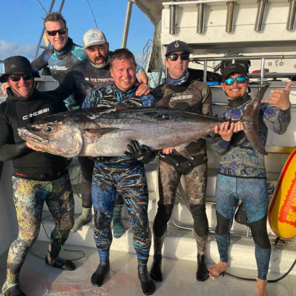 55kg Dogtooth - Diversworld Spearfishing Liveaboard Coral Sea with Reeldeep Charters