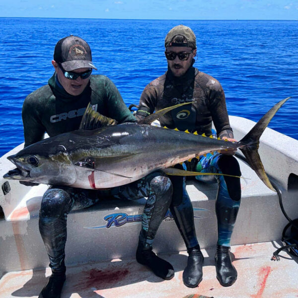Yellowfin Tuna - Diversworld Spearfishing Liveaboard Coral Sea with Reeldeep Charters