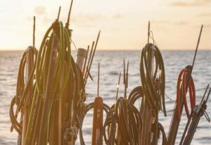 Spearfishing Shafts and Slip Tips - Finding the Right Gear for You - Diversworld
