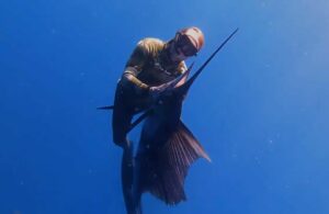 Rob Allen Spearfishing at Diversworld Cairns Spearfishing Australia