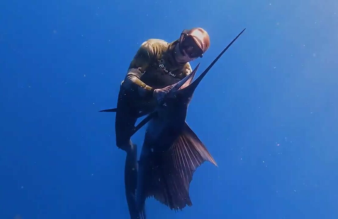 Rob Allen Spearfishing at Diversworld Cairns Spearfishing Australia