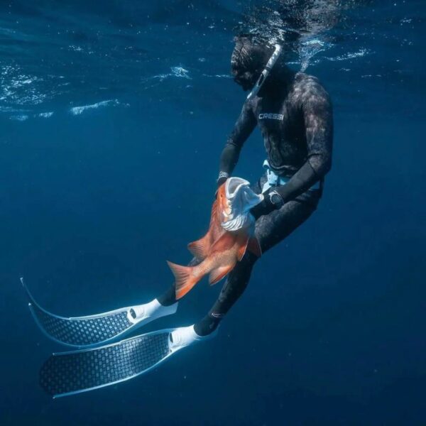 DiveR Innegra V2 Fins Ocean - Diversworld Spearfishing Australia