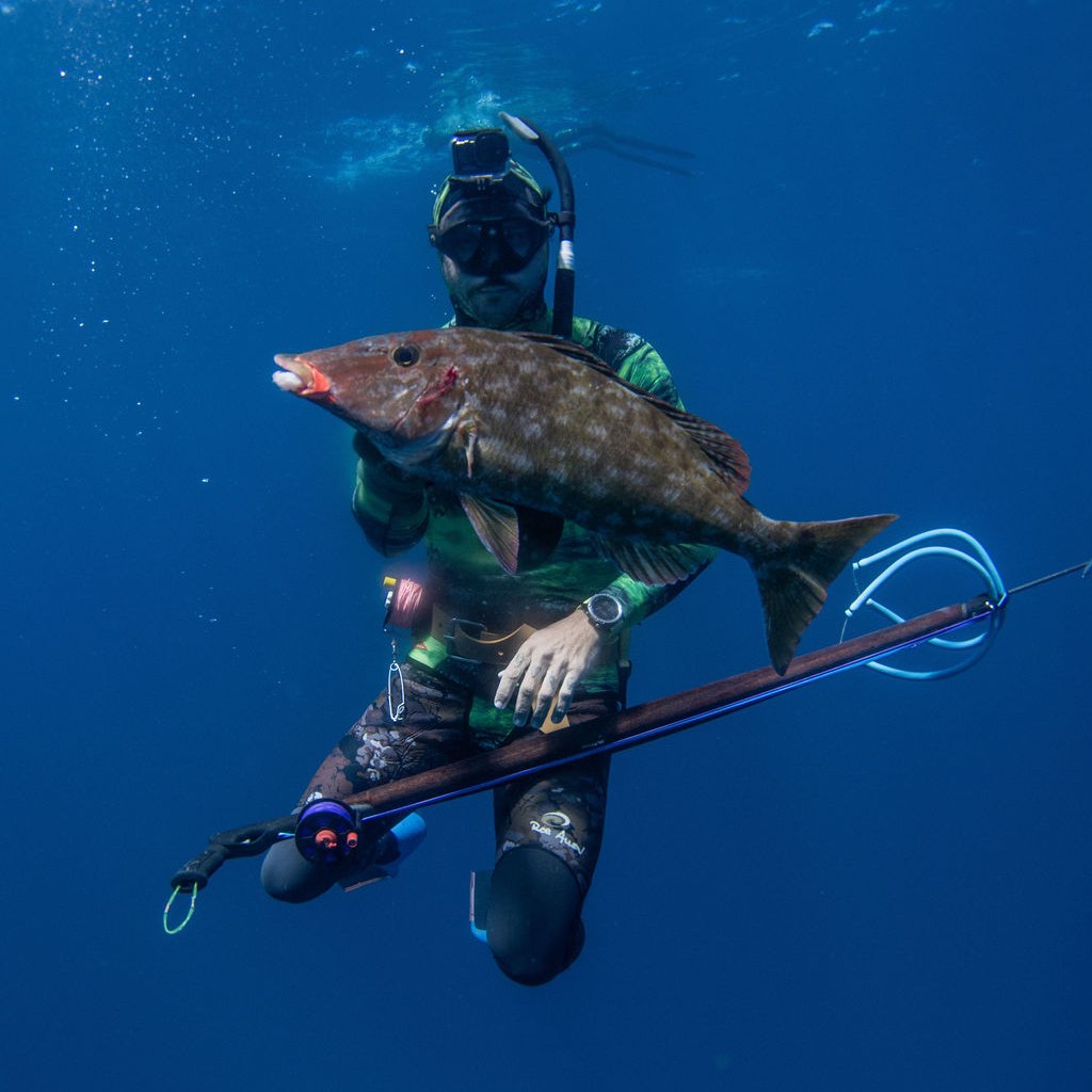 Spearfishing Charter October 2024, Coral Sea