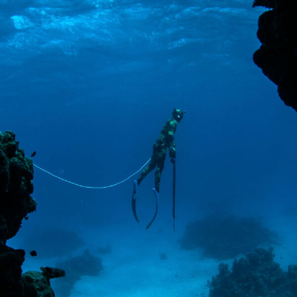 Ocean Hunter Spyrid Open Cell 3.5mm Wetsuit mid Water - Diversworld Spearfishing Cairns Australia