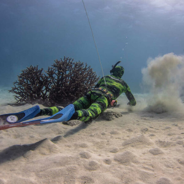 Ocean Hunter Spyrid Open Cell 3.5mm Wetsuit under Water - Diversworld Spearfishing Cairns Australia